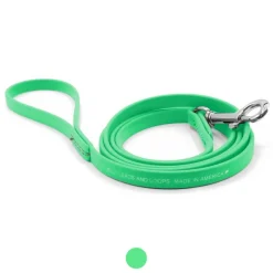 Ryan's Pet Supplies Jelly Pet Waterproof Standard Dog Leash - 1/2'' x 6'