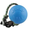 Ryan's Pet Supplies Jolly Pet Romp-n-Roll Blueberry Large