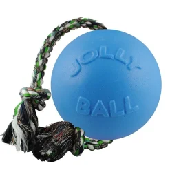 Ryan's Pet Supplies Jolly Pet Romp-n-Roll Blueberry Large
