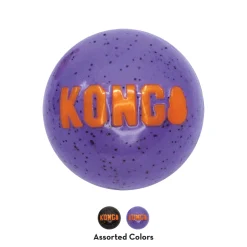 Ryan's Pet Supplies KONG Halloween Signature Ball Medium