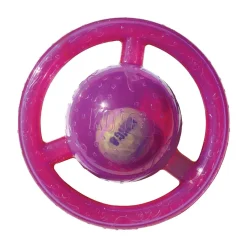 Ryan's Pet Supplies KONG Jumbler Disc
