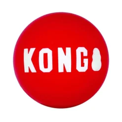 Ryan's Pet Supplies KONG Signature Ball Medium