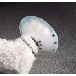 Ryan's Pet Supplies KVP Saf-T-Shield Elizabethan Collar - Extra Small