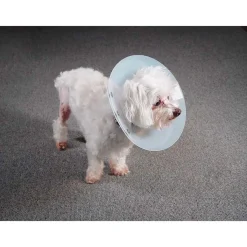 Ryan's Pet Supplies KVP Saf-T-Shield Elizabethan Collar XL