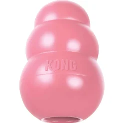 Ryan's Pet Supplies Large Puppy KONG