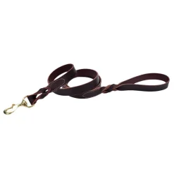 Ryan's Pet Supplies Latigo Leather Twist Lead with Brass Hardware 1" X 6'