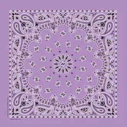 Ryan's Pet Supplies Lavender Paisley Pet Bandana