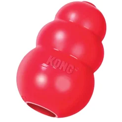 Ryan's Pet Supplies Medium Red KONG®