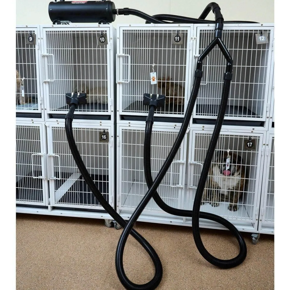 Ryan's Pet Supplies MetroVac Master Blaster & Air Force Twin Turbo Dual Cage Dryer Kit