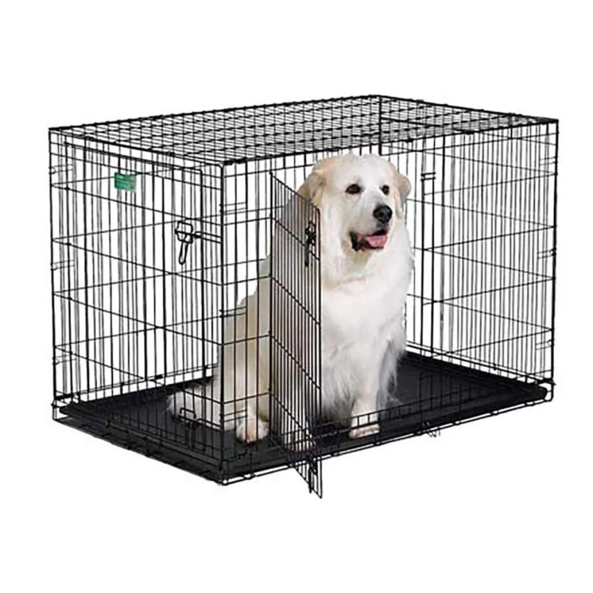 Ryan's Pet Supplies Midwest iCrate Double Door Dog Crate - 48" X 30" X 33"