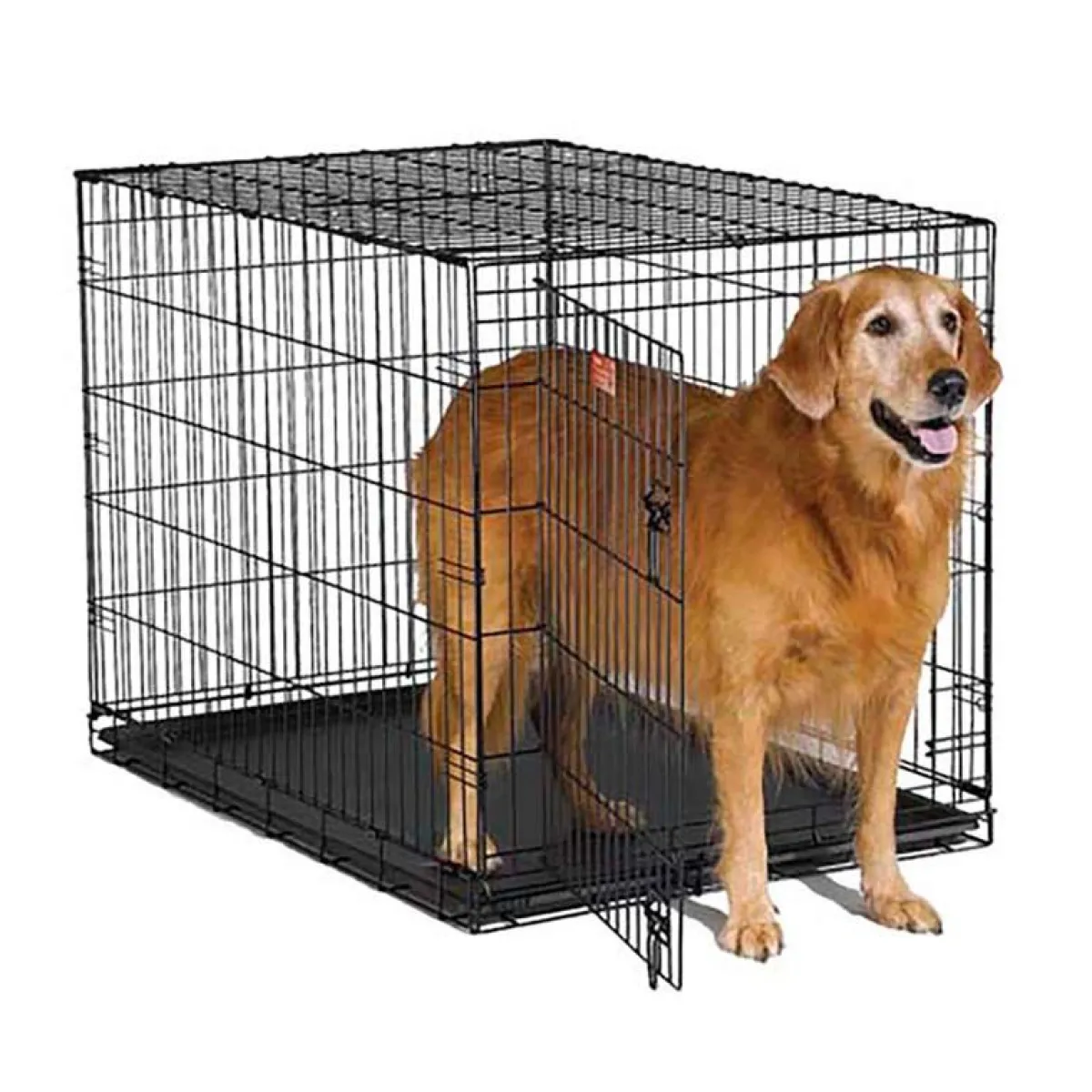 Ryan's Pet Supplies Midwest iCrate Single Door Metal Dog Crate - 42" X 28" X 30"