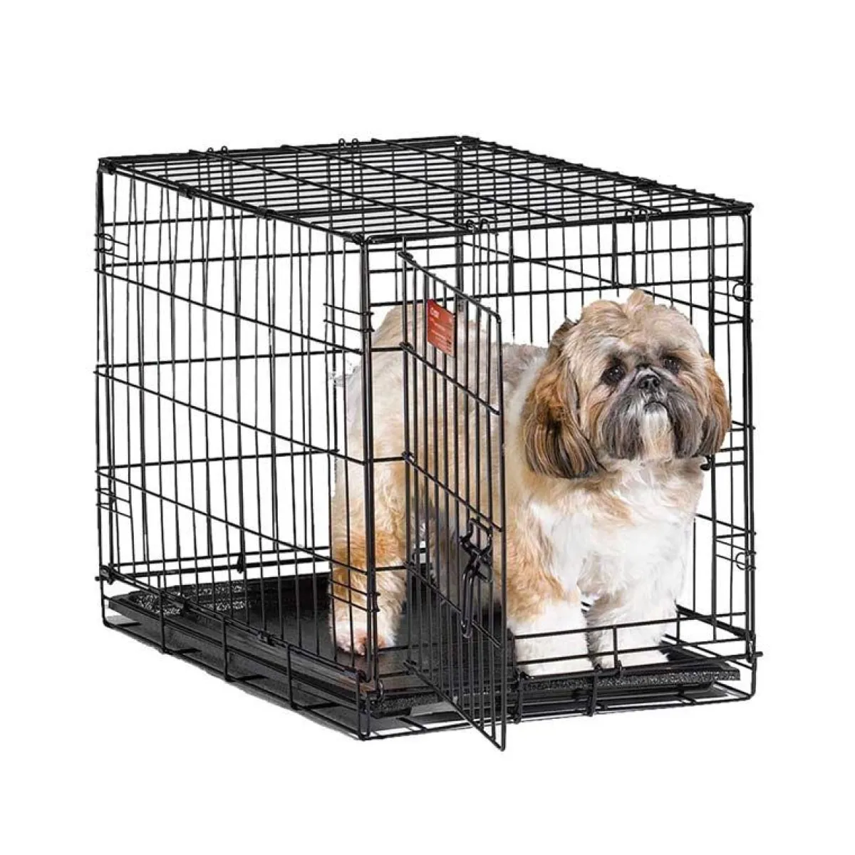 Ryan's Pet Supplies Midwest iCrate Single Door Metal Dog Crate - 24" X 18" X 19"