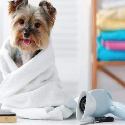 Ryan's Pet Supplies Muddy Paws Towel w/ Paws 20" x 40" - 6 pack