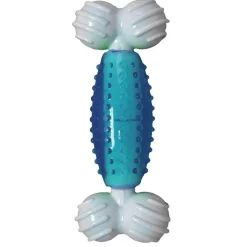 Ryan's Pet Supplies Multipet Canine Clean Peppermint Bone 5"