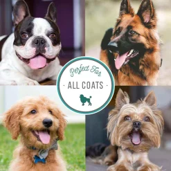 Ryan's Pet Supplies Natures Specialties Sheablast Conditioning Spray