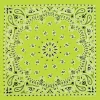 Ryan's Pet Supplies Neon Green Paisley Pet Bandana