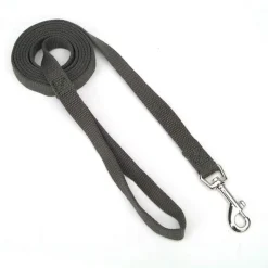 Ryan's Pet Supplies New Earth Soy Lead 5/8" x 6'