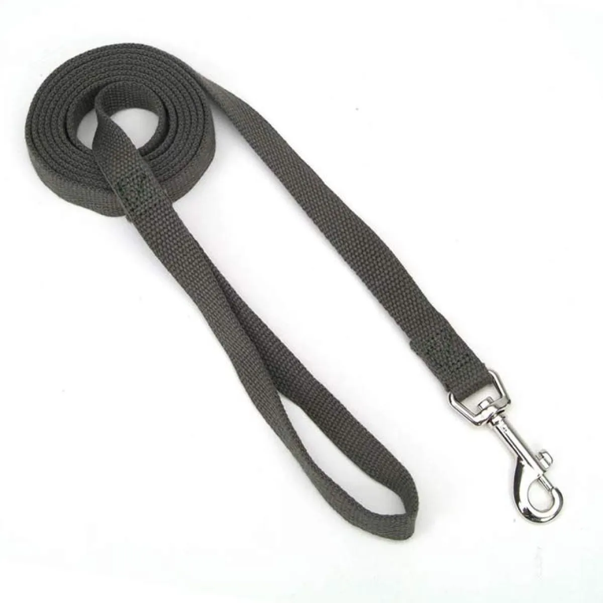 Ryan's Pet Supplies New Earth Soy Lead 5/8" x 6'