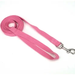 Ryan's Pet Supplies New Earth Soy Lead 5/8" x 6'