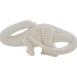 Ryan's Pet Supplies Nylabone Dental Chew Dinosaurs