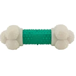 Ryan's Pet Supplies Nylabone DoubleAction Chew Bone Wolf