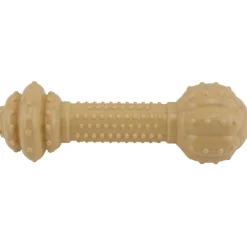 Ryan's Pet Supplies Nylabone DuraChew Barbell Medium
