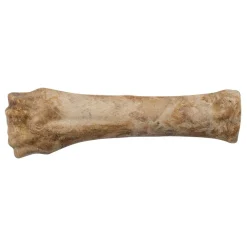 Ryan's Pet Supplies Nylabone Natural Healthy Edibles Roast Beef Souper