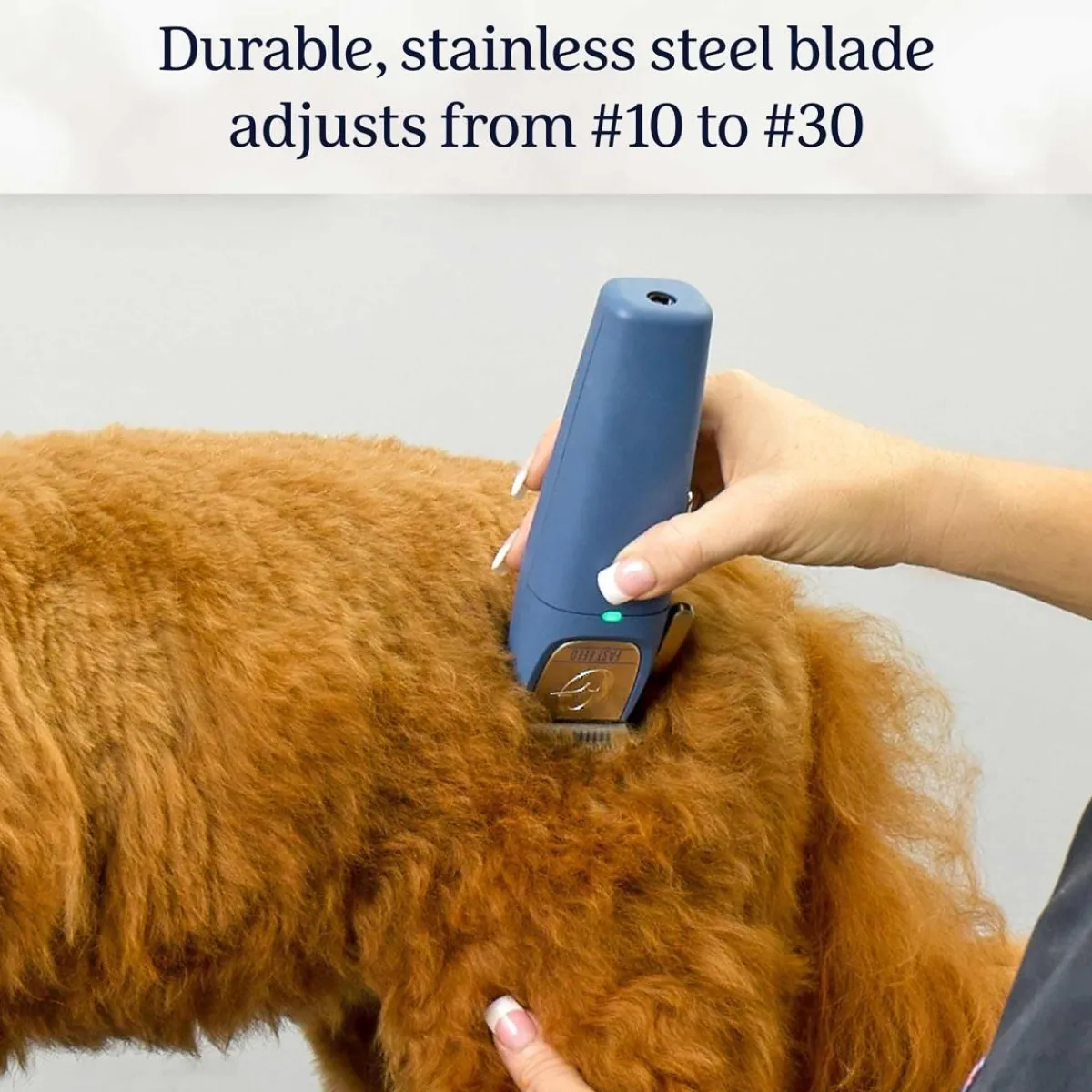 Ryan's Pet Supplies Oster Cordless Fast Feed Clipper