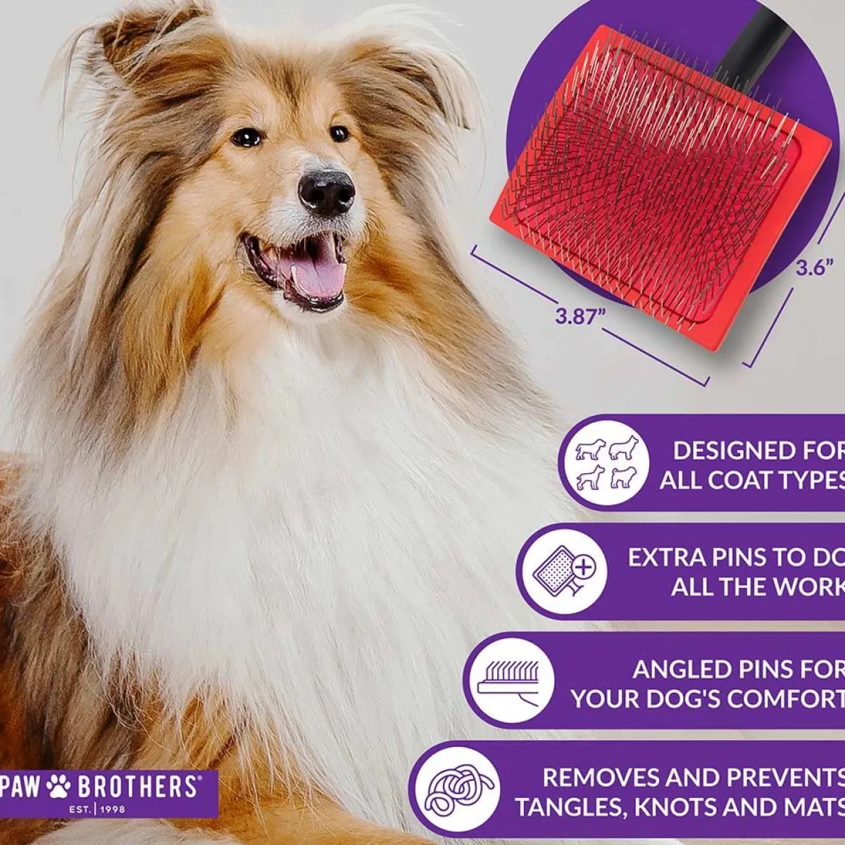 Ryan's Pet Supplies Paw Brothers Big Paw Slicker