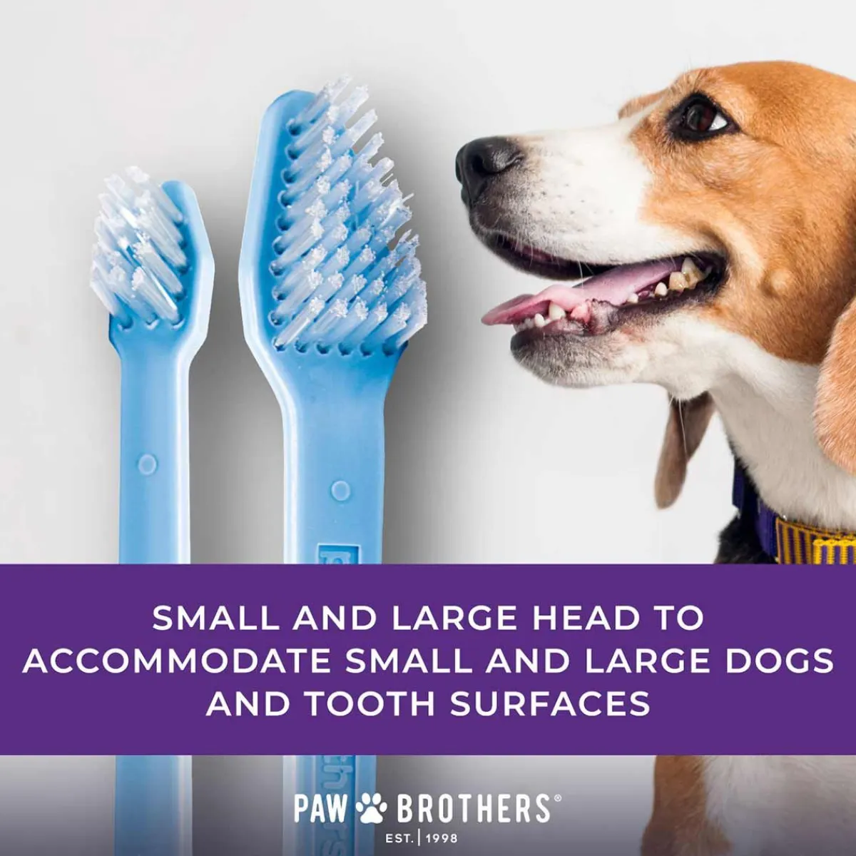 Ryan's Pet Supplies Paw Brothers Dual-End Toothbrush 50 Count