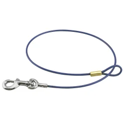 Ryan's Pet Supplies Paw Brothers EZ Tether 20"