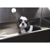 Ryan's Pet Supplies Paw Brothers Professional 30" Bath Restraint with Suction Cup