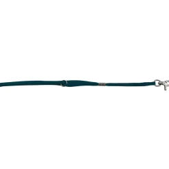 Ryan's Pet Supplies Paw Brothers Slip-Style Fashion Grooming Loop Green