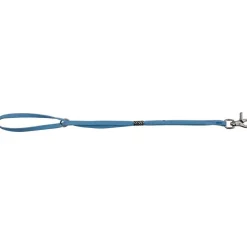 Ryan's Pet Supplies Paw Brothers Slip-Style Fashion Grooming Loop Light Blue