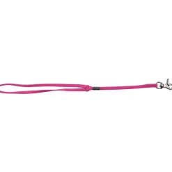 Ryan's Pet Supplies Paw Brothers Slip-Style Fashion Grooming Loop Pink