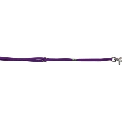 Ryan's Pet Supplies Paw Brothers Slip-Style Fashion Grooming Loop Purple