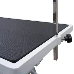 Ryan's Pet Supplies Paw Brothers Super Low-Low Electric Grooming Table