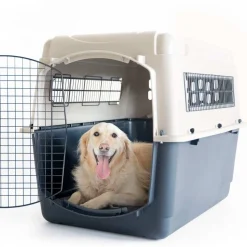 Ryan's Pet Supplies Petmate Ultra Vari Training & Traveling Kennel (70-90lbs)