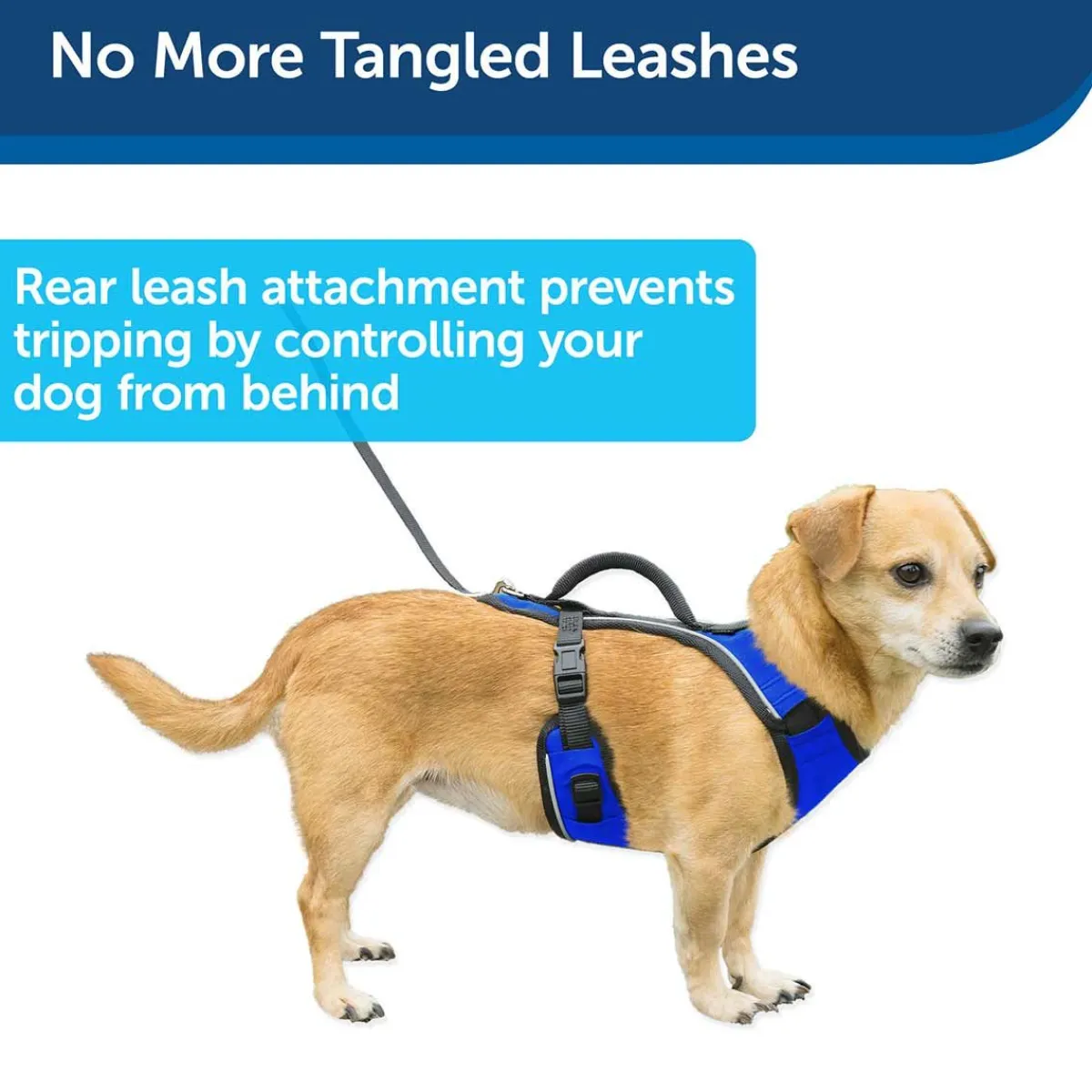 Ryan's Pet Supplies Petsafe EasySport Quick-Snap Reflective Harness for Dogs