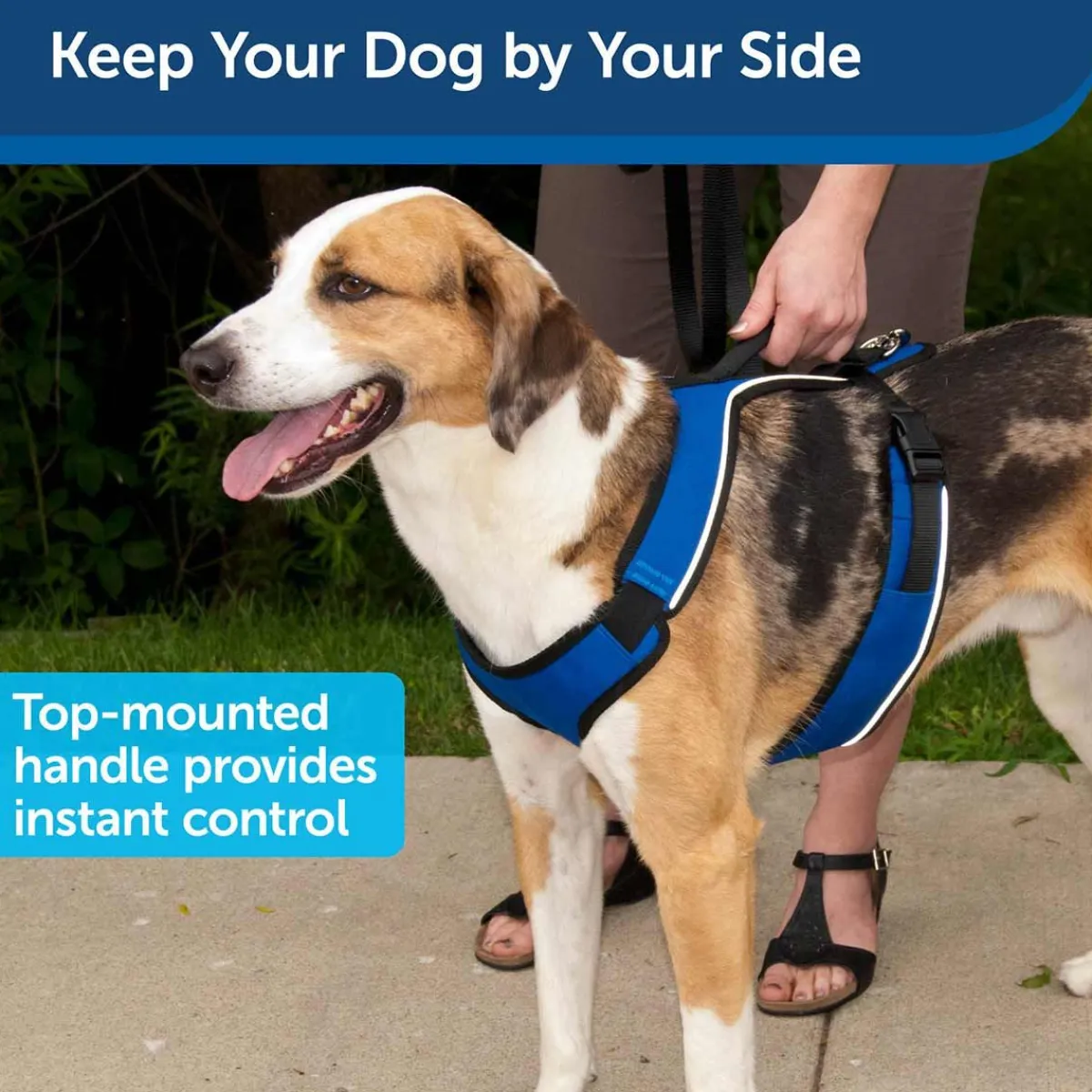 Ryan's Pet Supplies Petsafe EasySport Quick-Snap Reflective Harness for Dogs