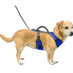 Ryan's Pet Supplies Petsafe EasySport Quick-Snap Reflective Harness for Dogs
