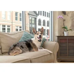 Ryan's Pet Supplies PetSafe Lite Rechargeable Bark Control Collar
