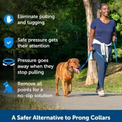 Ryan's Pet Supplies Petsafe Soft Point Black Training Collar