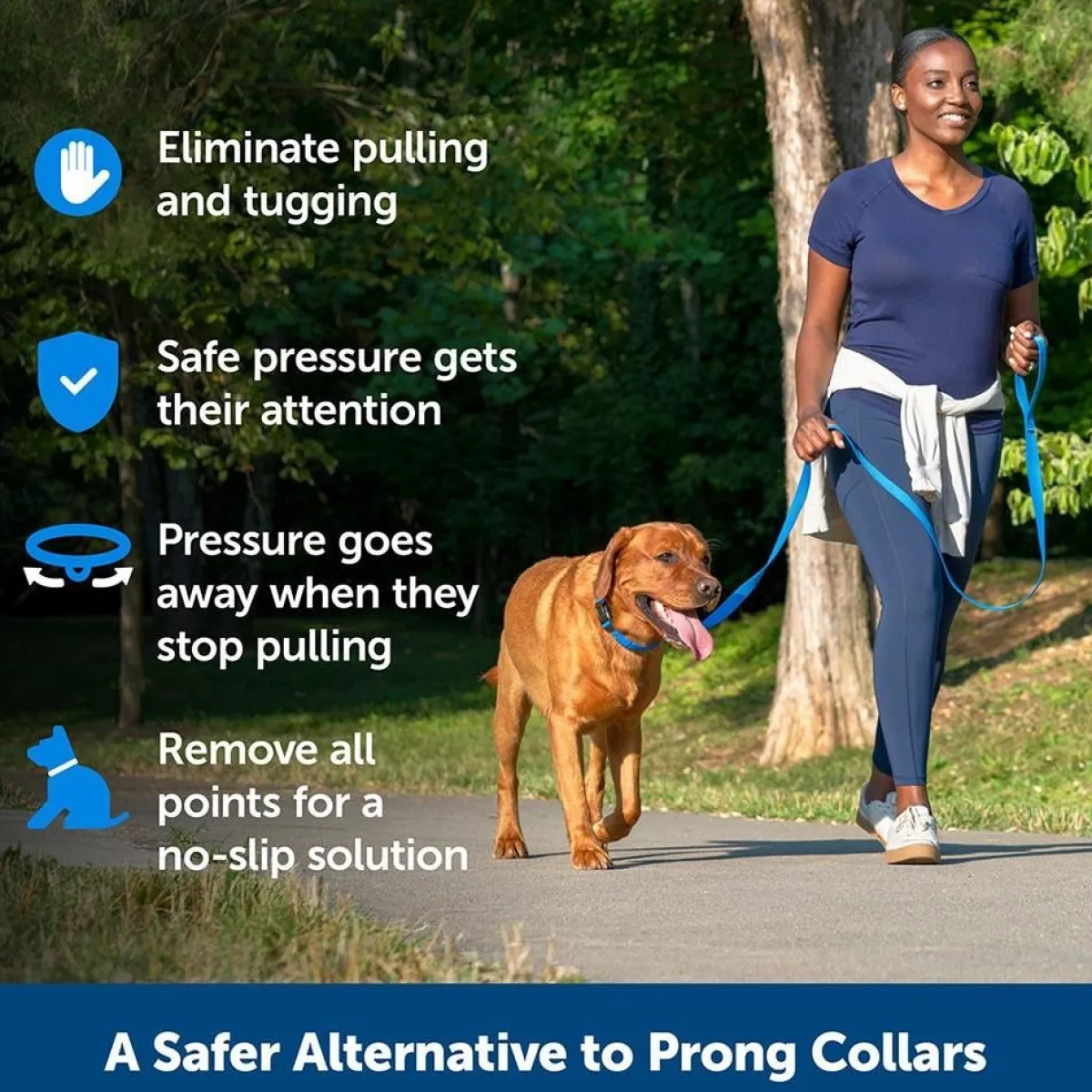 Ryan's Pet Supplies Petsafe Soft Point Black Training Collar