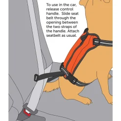 Ryan's Pet Supplies PetSafe® Walk Along™ Outdoor Harness