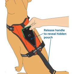 Ryan's Pet Supplies PetSafe® Walk Along™ Outdoor Harness