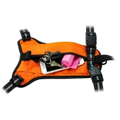 Ryan's Pet Supplies PetSafe® Walk Along™ Outdoor Harness
