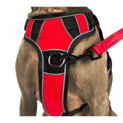 Ryan's Pet Supplies Quest Multipurpose Dog Harness Size Small 21"-25"