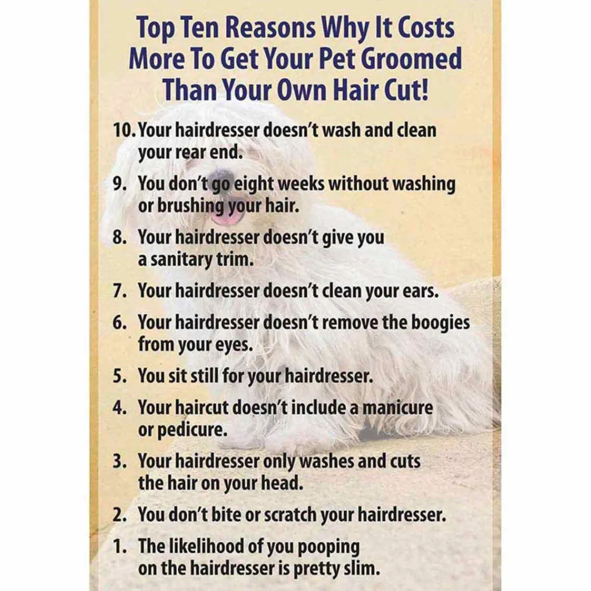 Ryan's Pet Supplies 10 Reasons Poster with Matframe 8.5 X 11