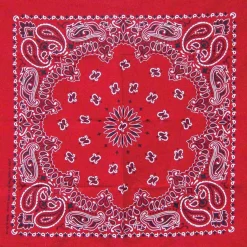 Ryan's Pet Supplies Red Paisley Pet Bandana